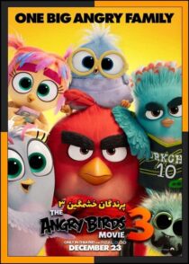 انیمیشن The Angry Birds Movie 3 2026 (پرندگان خشمگین ۳) با کیفیت بالا